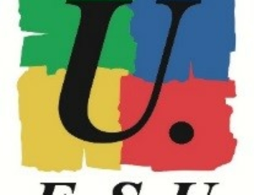 Face à la crise politique, la FSU s’engage pour porter des alternatives de justice et de progrès social