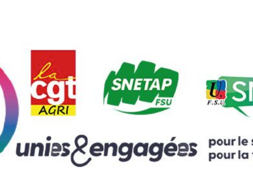 Se soulever pour résister au fascisme