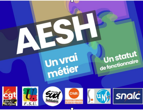 AESH : un vrai métier, un vrai corps de fonctionnaire ! Toutes et tous mobilisé.es le mardi 9 juin