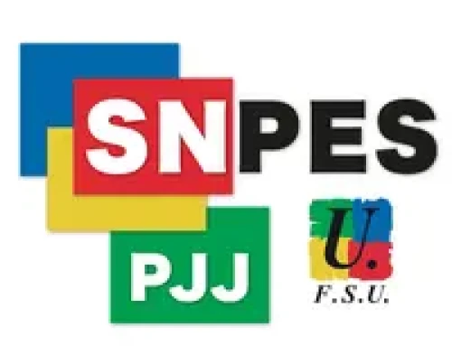 Décision du conseil constitutionnel